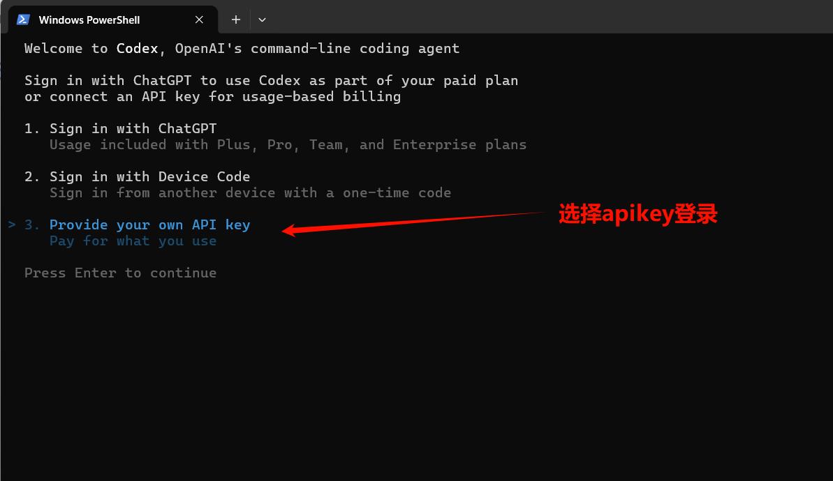 Codex CLI - MMKG CODE 帮助文档